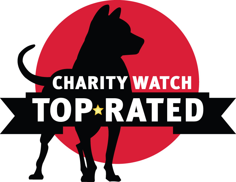 Charity Watch Top Rated